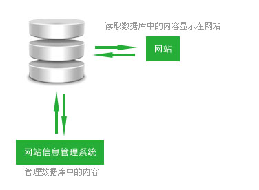 網站數據庫